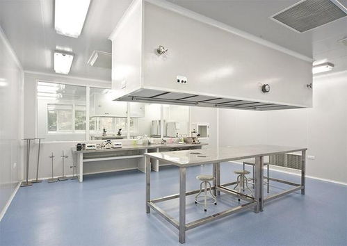 食品廠無(wú)塵車(chē)間設(shè)計(jì)排水設(shè)計(jì)要點(diǎn)曝光 合景凈化工程公司